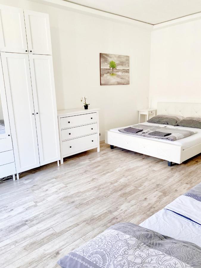 Luxury Apartment In The Centre Ac Parking Garden ブダペスト エクステリア 写真